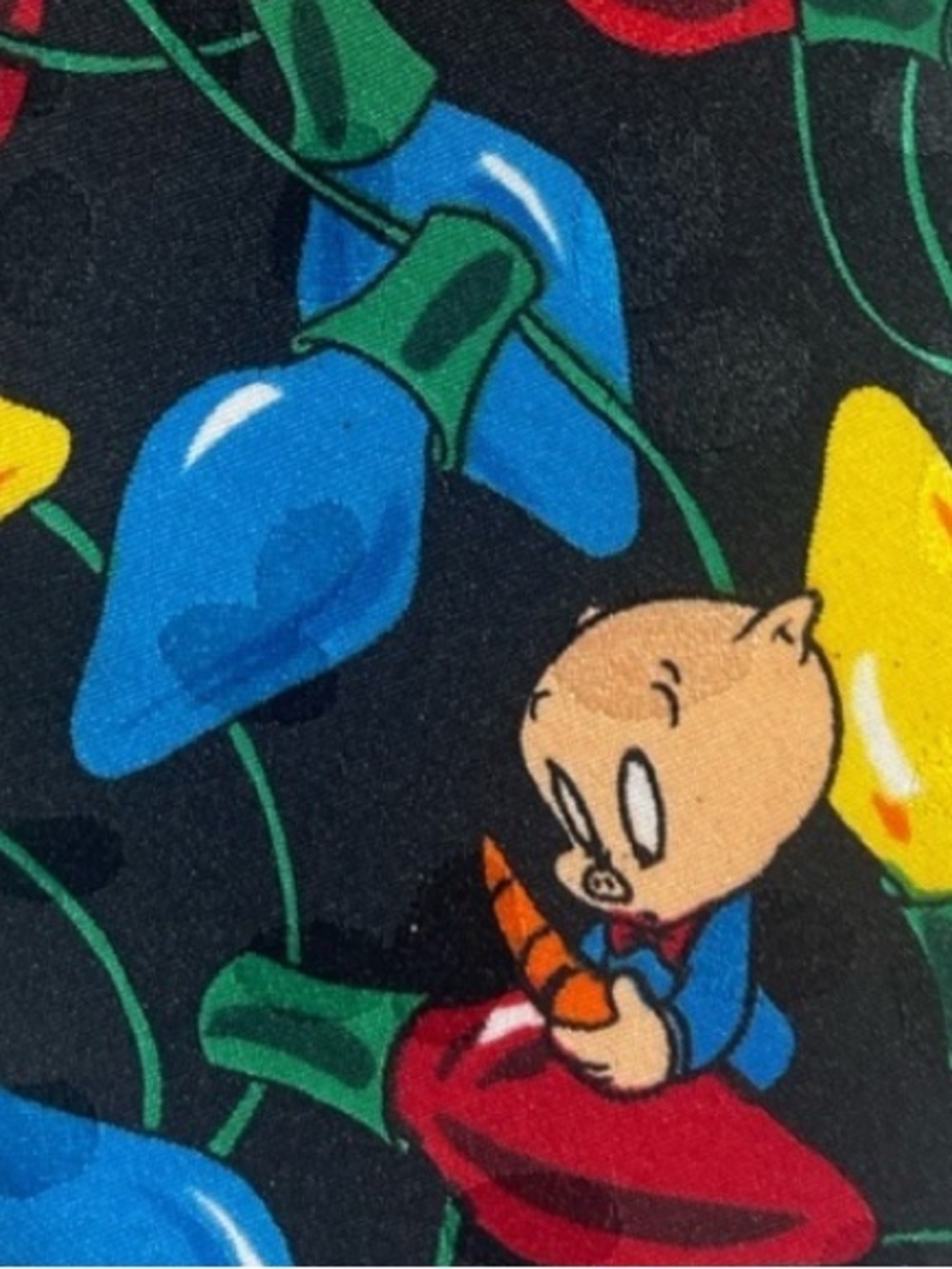 Warner Bros. Tie with Vibrant Floral Accents